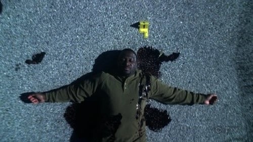 movies/2024-09-05/csi-crime-scene-investigation-oMUQnO52gI5lqgiyPwzzY8zLyOd.jpg