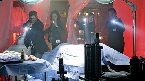 movies/2024-09-05/csi-crime-scene-investigation-oxScE2KJgz4GXjZIOMrLqDJmPdM.jpg