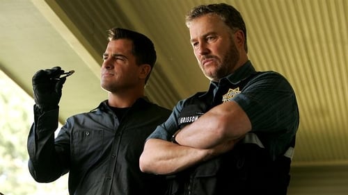 movies/2024-09-05/csi-crime-scene-investigation-rGOPLCUMxkJl3y00KlHZ4GDdMsr.jpg