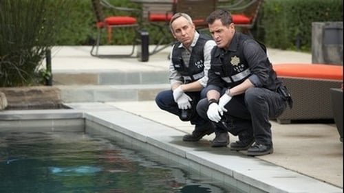 movies/2024-09-05/csi-crime-scene-investigation-rzRfJbbSMZsf137b9VTCsSEHHRB.jpg