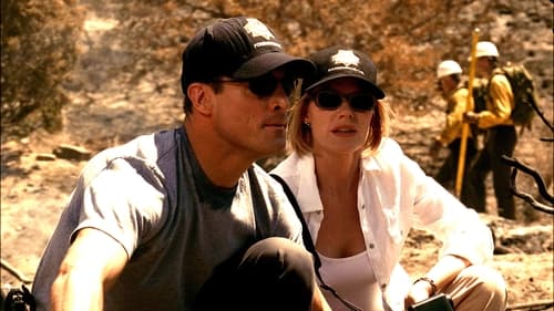 movies/2024-09-05/csi-crime-scene-investigation-sTglPoDiLD1vO1aoxM3dlXAFvOJ.jpg