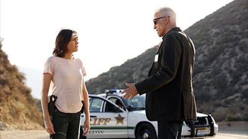 movies/2024-09-05/csi-crime-scene-investigation-sd6nZadbeINKFi5YrPrAe2jzOeQ.jpg