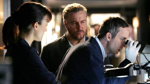 movies/2024-09-05/csi-crime-scene-investigation-sxc1x1GvmwQZeJ2i9bLwWyeeGtB.jpg