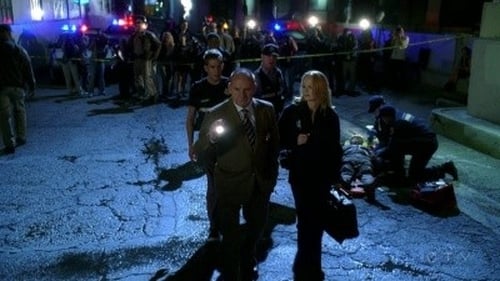 movies/2024-09-05/csi-crime-scene-investigation-vNqgoqu0918cP6qC3Nsu1dwDxms.jpg