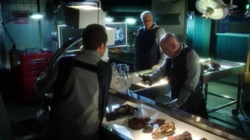 movies/2024-09-05/csi-crime-scene-investigation-vQfmxIXe1HglY7YyyJmrRz300kf.jpg