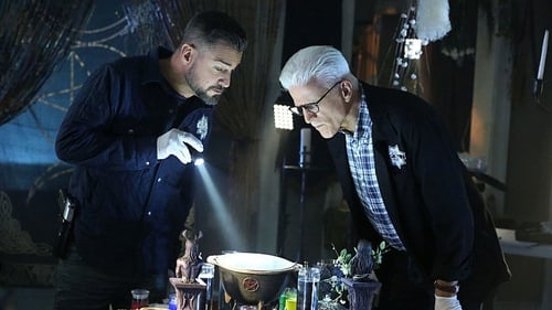 movies/2024-09-05/csi-crime-scene-investigation-wMQyLX6zrzK3Y3pLPwObfl7VKTP.jpg