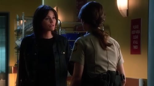 movies/2024-09-05/csi-crime-scene-investigation-zXLyJRxwEzkeELNq2Psj6W7qAr0.jpg