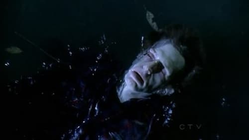 movies/2024-09-05/csi-crime-scene-investigation-zttSW9H3F3JeYTrYDYT9aNg4HfP.jpg