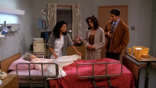 movies/2024-09-05/friends-6hJy11O72Ja9Oovgw4kNXGKPE3v.jpg