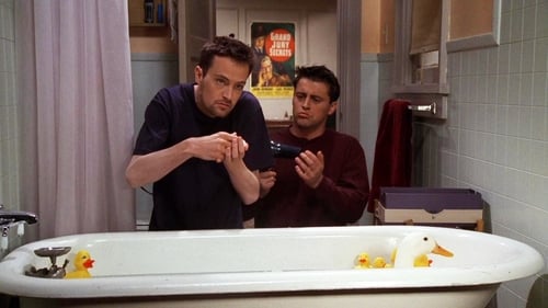 movies/2024-09-05/friends-8yZycDRGAImK2Qpmm5PdG3gforx.jpg