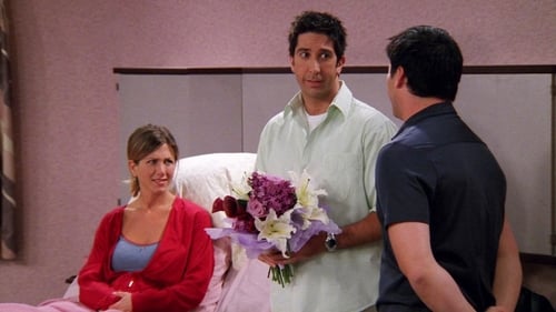 movies/2024-09-05/friends-dNqS2szoMmfgfFttsVZTggXjttz.jpg