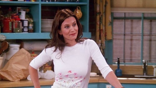 movies/2024-09-05/friends-grpysBMIoetM5LqWxWVZwjQsoT3.jpg