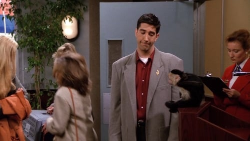 movies/2024-09-05/friends-iTn3TJjwBFbBjIIC5zZ6vhzMnuR.jpg