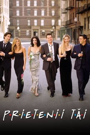 Prietenii tăi - Friends (1994)