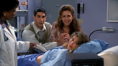 movies/2024-09-05/friends-q00vWBNdLBIprqA3zQJ3TpfXNhu.jpg