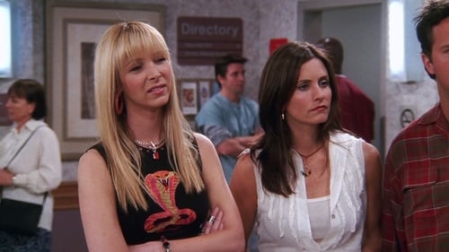 movies/2024-09-05/friends-rk7CtLH2RXUK5LBdr6Mg1YZxn3j.jpg