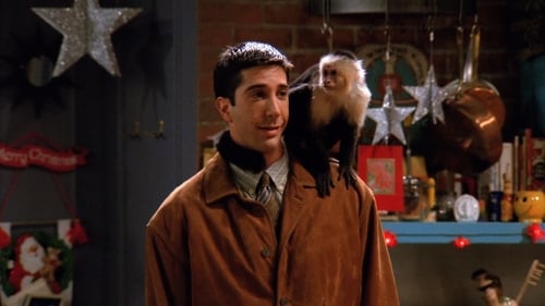 movies/2024-09-05/friends-uk0yh6xFTwwQcHGlbhJ5X5gKT33.jpg