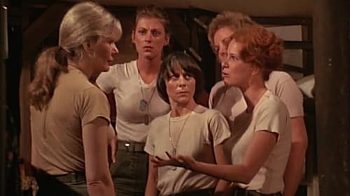 movies/2024-09-05/mash-e7nSM0ApVfxlORLmQdeC1M4Jboy.jpg