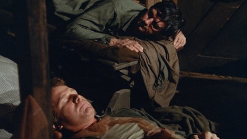 movies/2024-09-05/mash-h2ydZBNtqNEL4HMpPJFSFIsCSQD.jpg