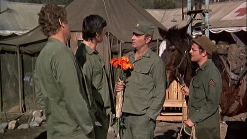 movies/2024-09-05/mash-w87ZTfV7qfgOKLhWS0pdvZnPkhP.jpg