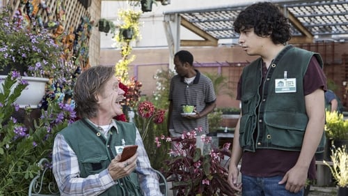 movies/2024-09-05/shameless-3CvJXHggIiQiNZ5JcoQ6n4NmCNT.jpg