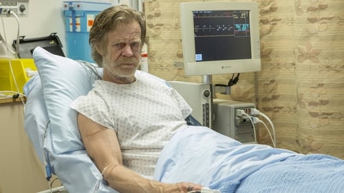 movies/2024-09-05/shameless-7ZTrNc30wxUHjoM9AduuGamFqAr.jpg