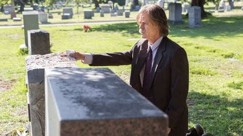 movies/2024-09-05/shameless-A00UOcQ4tX2t2R0xW8FJI6wBTMd.jpg
