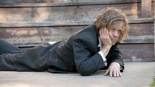 movies/2024-09-05/shameless-MauSPpbtIimW4jNxrif9W9rN3O.jpg