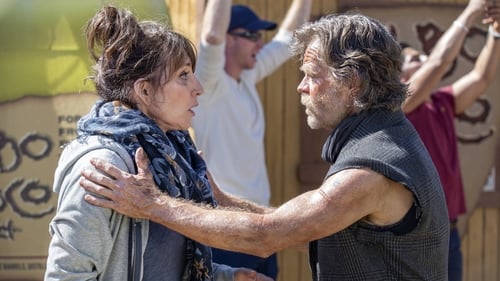 movies/2024-09-05/shameless-a5RtbvcT7xTR9rxKiUuSHrRjB9z.jpg