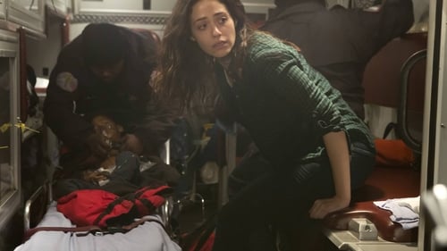 movies/2024-09-05/shameless-bi6ShRpd31mbGd8hZO7wrOTBSzd.jpg