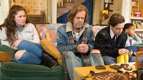 movies/2024-09-05/shameless-gFJ8g7yGLsFq2DGnYqotbHV8PbE.jpg