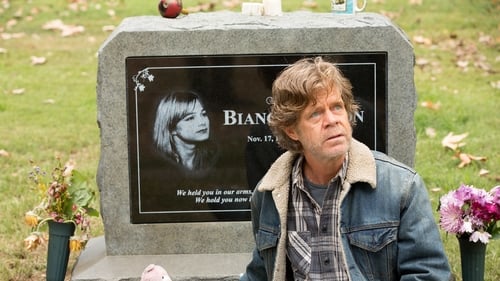 movies/2024-09-05/shameless-heEKvJkoalkYa5at5pw0PGFXsVG.jpg