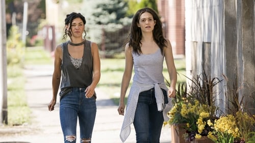 movies/2024-09-05/shameless-j4NHwJRTzcmb0ADIWHy0g8bz1kG.jpg