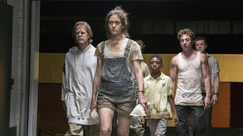 movies/2024-09-05/shameless-kGPO047HJ3gOIUC4rcfsdUjLA2u.jpg