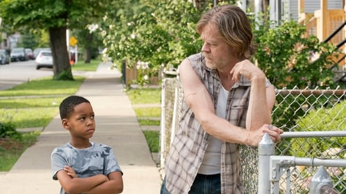movies/2024-09-05/shameless-nBw3ieBviGaeWETebO8ghwc7eNi.jpg