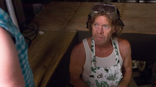 movies/2024-09-05/shameless-nCsZEFfrtxCuwjLw69ZasY3iqoD.jpg