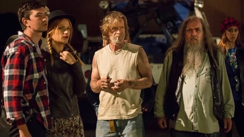 movies/2024-09-05/shameless-pNQdgPWIDkb4pD1PrrbFsOD9R61.jpg