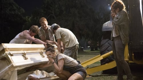 movies/2024-09-05/shameless-qPUiQP3e8GdCAYrLHXk4XpePc4i.jpg
