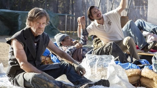 movies/2024-09-05/shameless-vNWeifFrDvUks9DDAILIQS88wCn.jpg