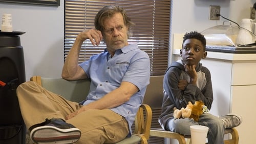 movies/2024-09-05/shameless-vbcZxf0gtz2fXzhUZBjHaiiNFKQ.jpg