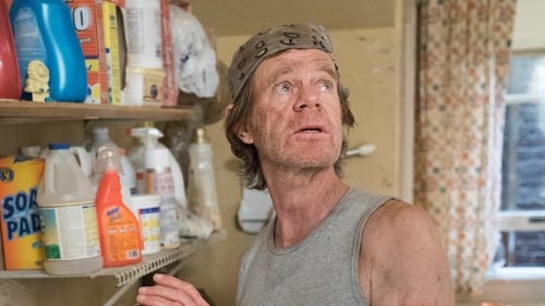 movies/2024-09-05/shameless-w4XSRhgWOl5WBmkboatLKj9yCuV.jpg