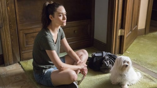 movies/2024-09-05/shameless-y9JtexHcaABZO1gXfModnu1HzhO.jpg