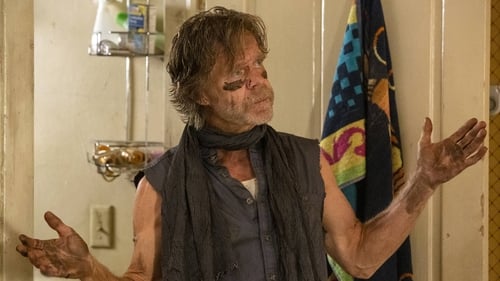 movies/2024-09-05/shameless-zZermQiGGTxKgw6tCJCkKvdRgEi.jpg