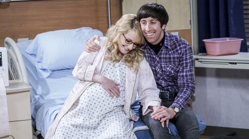 movies/2024-09-05/the-big-bang-theory-3FkVpR8xDoXlJ4E07JpwkTknaWK.jpg