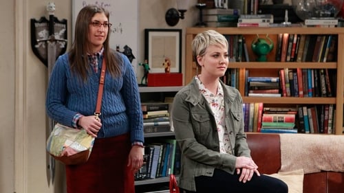 movies/2024-09-05/the-big-bang-theory-93KdgG30P9hkp0HzVltJO86fdN4.jpg