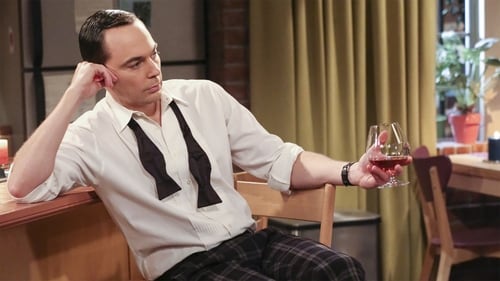 movies/2024-09-05/the-big-bang-theory-aBSJrTD21U7KTCtlXIaJrTIpTLS.jpg