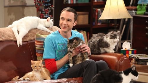 movies/2024-09-05/the-big-bang-theory-eBLxhs3TDM8d0zlutOGhIfDDVd2.jpg