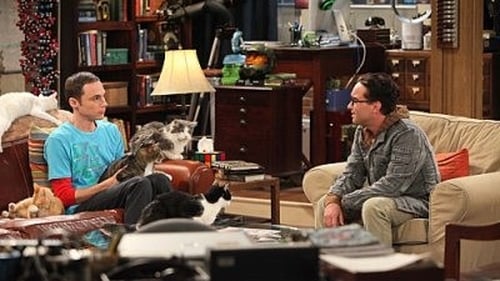 movies/2024-09-05/the-big-bang-theory-hyTO2DzzYLKgQforOnnYl1RmDiF.jpg