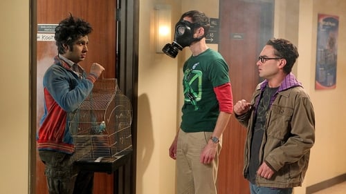 movies/2024-09-05/the-big-bang-theory-isCe5dxkG0Ufi4cNRfmCr2HsoJd.jpg