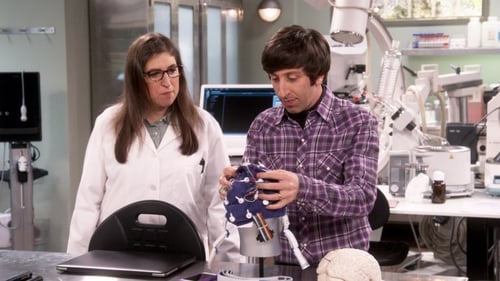 movies/2024-09-05/the-big-bang-theory-jHDHHiJbPIjJLPTpD31pAFgKhXc.jpg